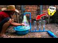 A home DIY project exploring water pressure within a PVC pipe system utilizing recycled bottles