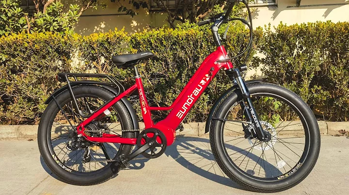 Eunorau META 2024 | The Ultimate Hybrid Commuter E-Bike?