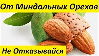 Вот ЧЕГО ВЫ СЕБЯ ЛИШАЕТЕ, Отказываясь от Миндальных Орехов Вот ЧЕГО ВЫ СЕБЯ ЛИШАЕТЕ, Отказываясь от Миндальных Орехов