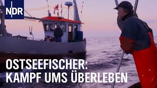 Der letzte Fang? Ostseefischer vor dem Aus | Die Nordreportage | NDR