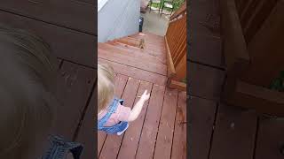 Feeding Fox Squirrels 2