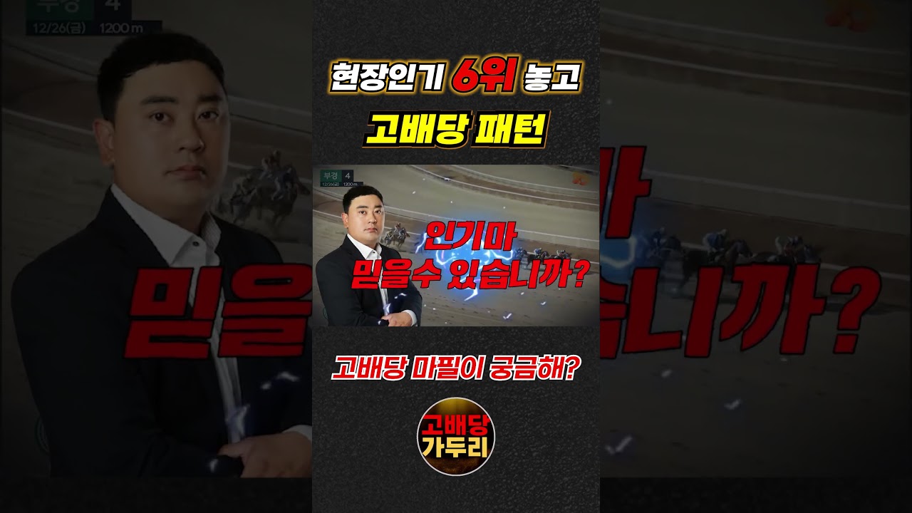 고배당 마필이 궁금해???🎯경마🟢 경마 고배당🟢 서울경마🟡부산경마🔵제주 경마