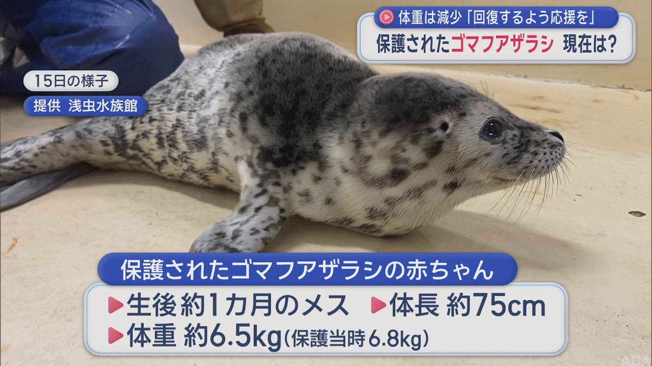 Weight Less Than One-Sixth of Normal Did It Get Separated