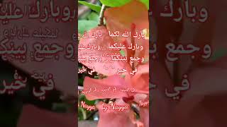 Download Lagu Barokallah lakuma doa untuk pengantin (ibu bapak guru versi nayya) lagu islami MP3