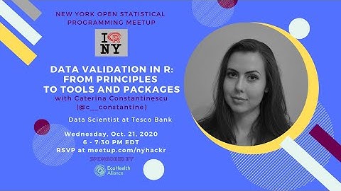Caterina Constantinescu - Data Validation in R: From Principles to Tools and Packages [Remote]