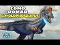 CRYOLOPHOSAURUS | COMO DOMAR + HABILIDADES e UTILIDADES no ARK Ascended