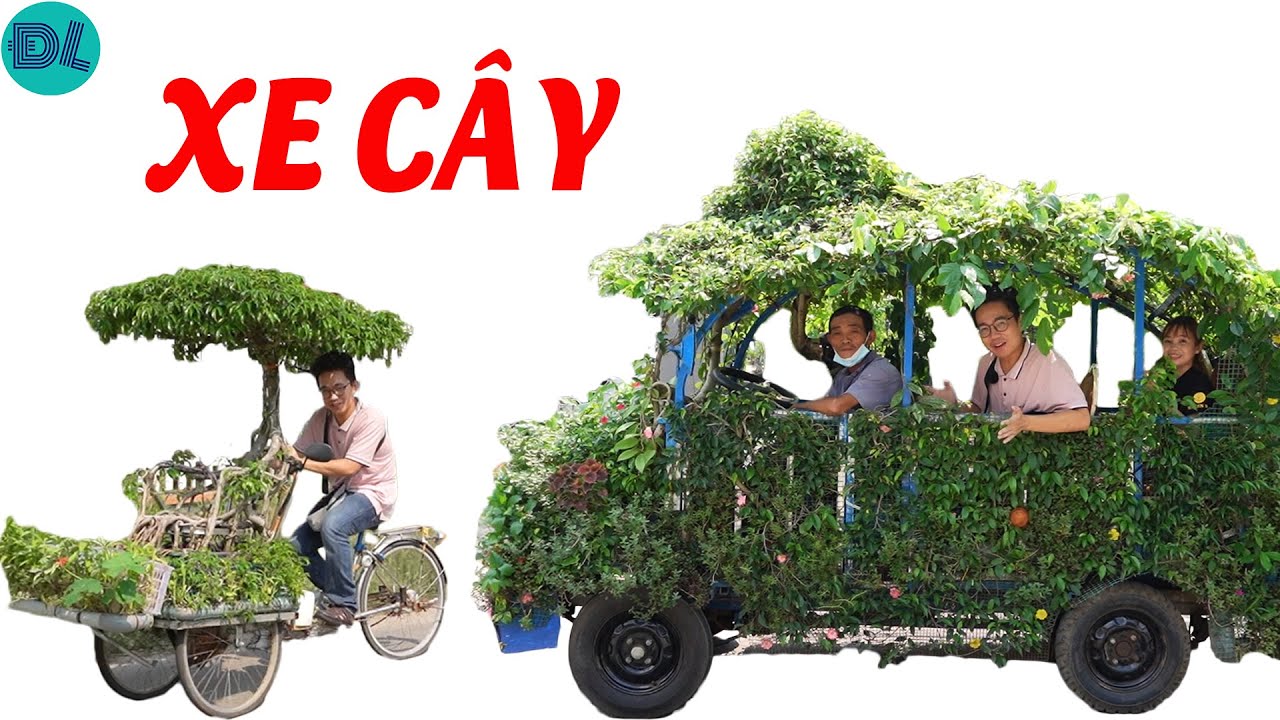Tốn hơn 10 năm để chế ra xe cây – ĐỘC LẠ BÌNH DƯƠNG