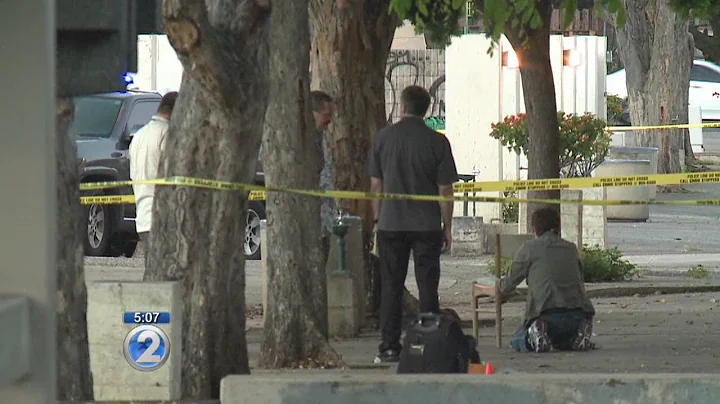 Police investigating Chinatown assault