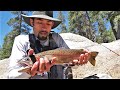 Trout Fishing the Sierras in California: Day Two (Catch and Cook and Camp)