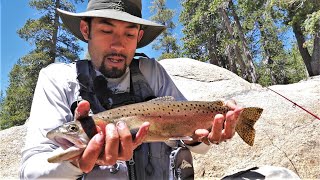 Trout Fishing the Sierras in California: Day Two (Catch and Cook and Camp)