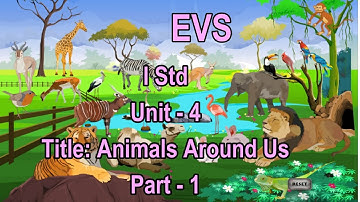 I Std EVS - Animals Around Us(Part - 1)