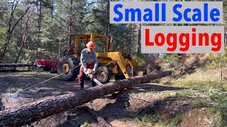 My Small Scale Logging Operation