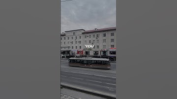 Everyday is a new Beginning! #shorts #youtubeshorts #travel #explore #experiencewithaliraza