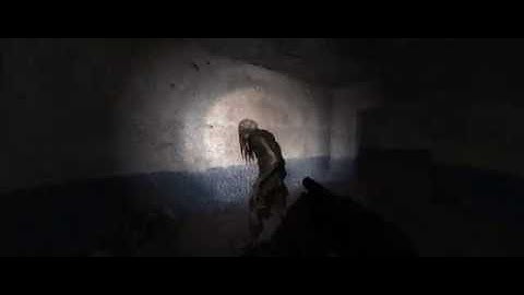 S.T.A.L.K.E.R. NLC 7 Build 3.0 - Meeting Borov (1440p Ultrawide)