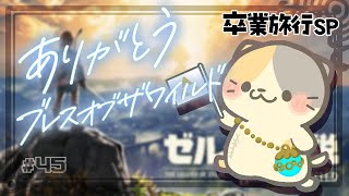 【ブレワイ】#45 卒業旅行にいこう🍣いい旅・ぬい気分【ゼルダの伝説BotW/むぅたま VTuber】