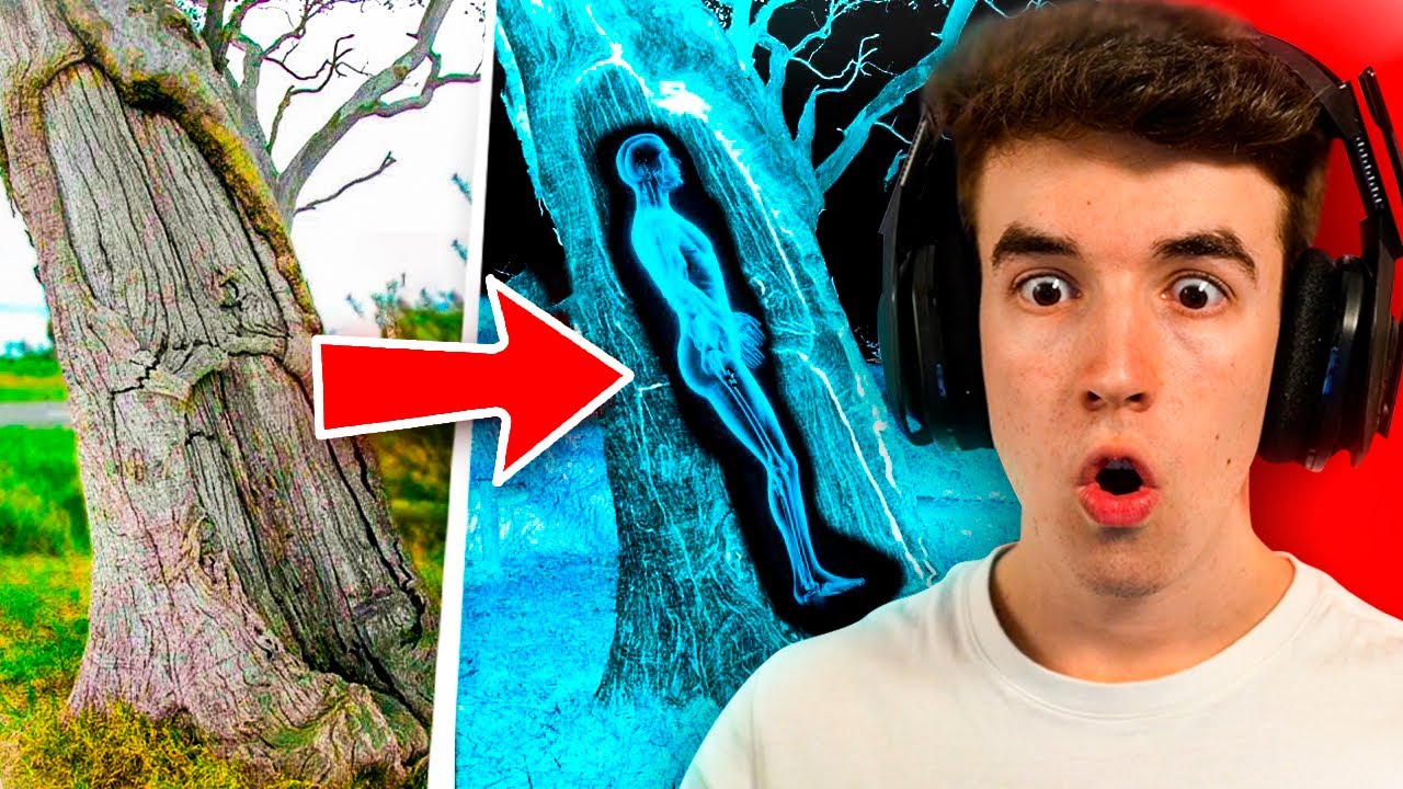 Los Descubrimientos *MAS LOCOS* del MUNDO