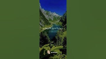 سورة آل عمران القارئ#ياسر_الدوسري ‎@islam_sobhi@Sonic_islami#فلسطين#السعودية#المغرب#مصر#الجزائر#تونس