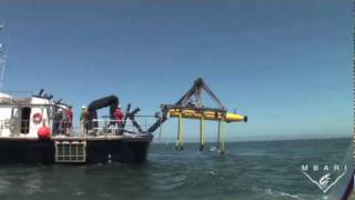 Autonomous Underwater Vehicle with Gulper Samplers
