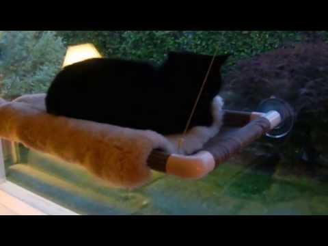 kitty-cot™---world's-best-cat-perch™---kittycot.com---cat-perch-that-sticks-to-windows