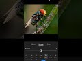 Lightroom mobile photo editing