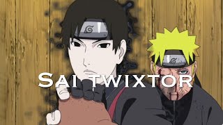 Sai twixtor