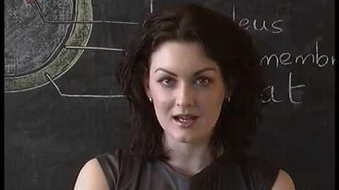 Black Box Recorder- The Facts of Life (Official Video)