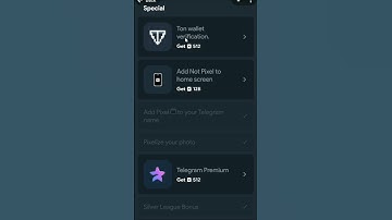 Not Pixel Airdrop: Ton Wallet Verification Task