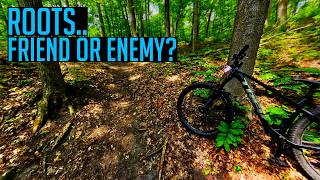 12 Mins of Durham Forest Trail Riding (Uxbridge, Ontario) Solo Ride in 2025.