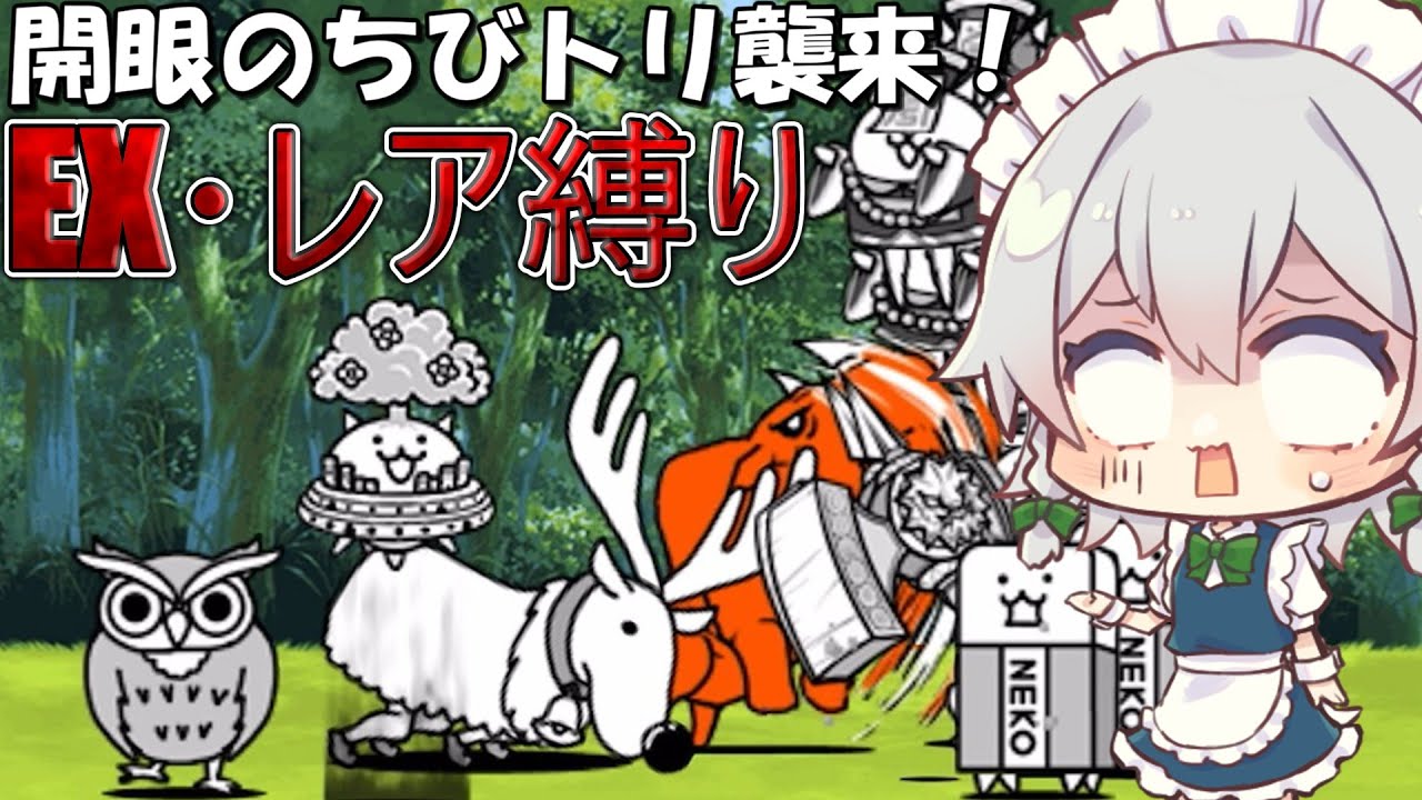 1から始めるレア・EXキャラ縛り＃開眼のちびネコノトリ襲来