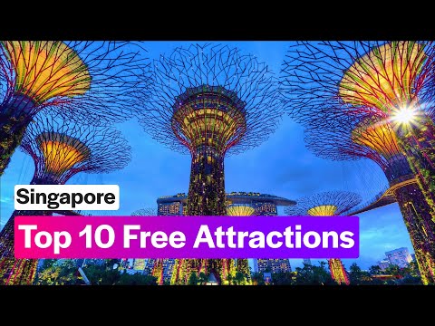 Video: Kurš muzejs Singapūrā ir bezmaksas?