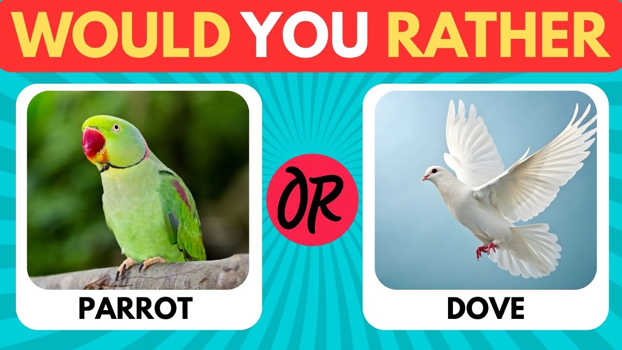 🦜🐦 Would You Rather – Bird Edition! 🐧🕊️ | Fun Flying Choices Game for Kids 🌤️