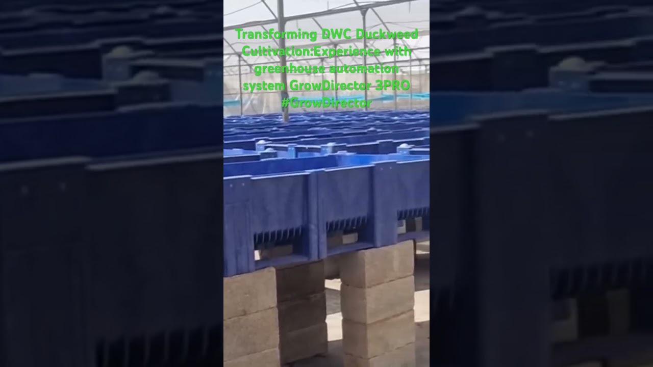 Experience with greenhouse automation system GrowDirector 3PRO 