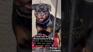Simba Timit-Tor Treadmill Workout
