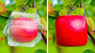 プロの農家のように植物を種から育てる方法