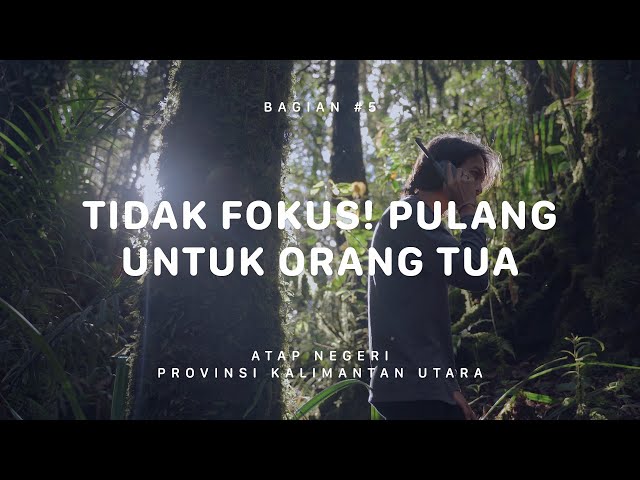 GUNUNG HARUN - Atap Negeri Kalimantan Utara #5 class=