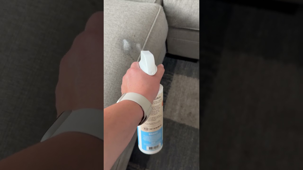 Remove Mud from Your Couch in Minutes