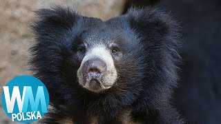 Top 10 prawdziwych zabójczych ludojadów screenshot 2