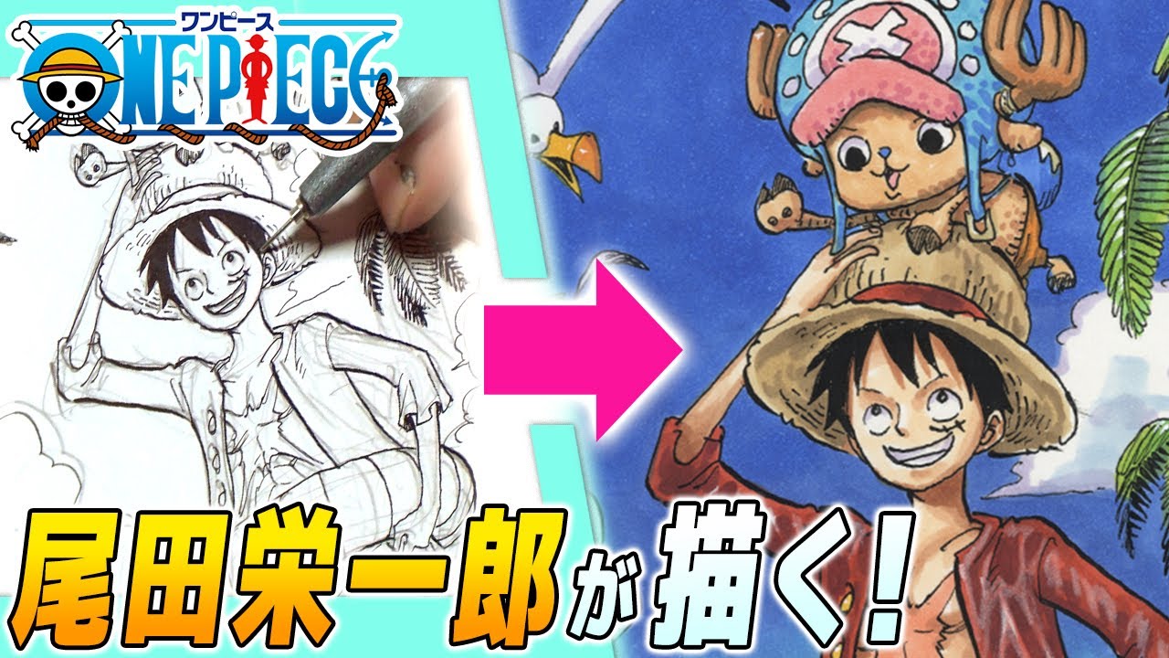 One Piece 尾田栄一郎先生が描く ルフィ ジャンプ作家の神ワザ One Piece Time Lapse Drawing Video Official Youtube