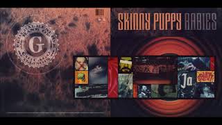 Skinny Puppy — Hexonxonx