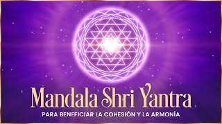 Mandala Shiva Yantra | observarlo beneficia la cohesión y la armonía