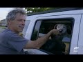 Deaf Dog's Vaccination Gets Complicated! | Pit Bulls and Parolees | Animal Planet