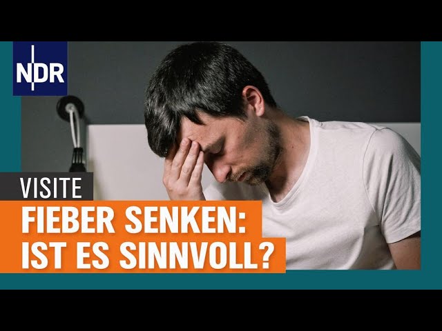 Fieber senken: Wann ist es sinnvoll und wann nicht? | Visite | NDR - YouTube