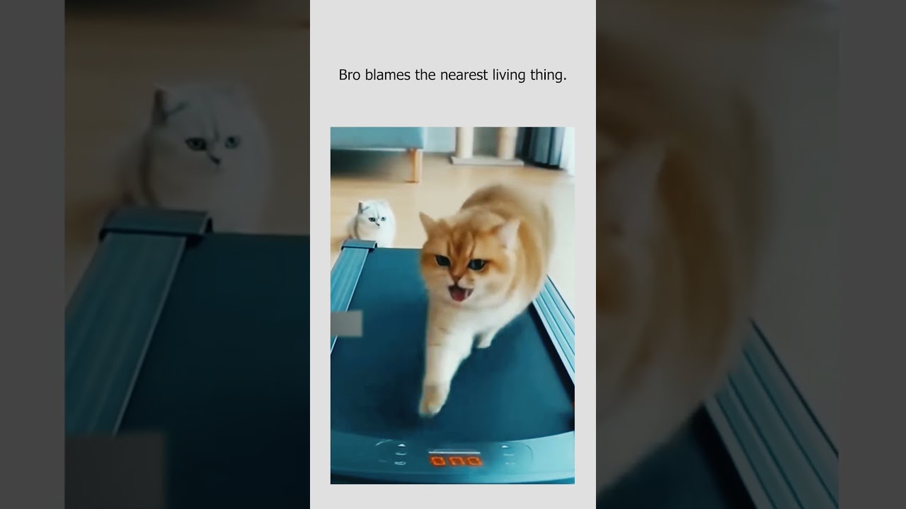 Оставайтесь вдохновленными — 