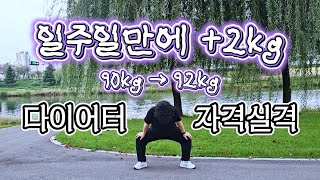 연휴 내내 먹고 탁묘하고 당일치기 여행하고 혼여하는 힐링의 나날 🩷| -10kg | 전주 당일치기 | 금암면옥 | 오원집 | 한옥마을 | 야시장 | 16HOURS  | 고도비만