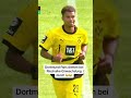 Dortmund-Fans feiern Nischalke-Einwechslung 😂👀