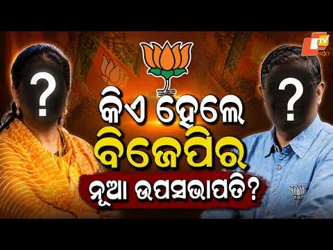 Who Made It to BJP’s New Vice-President List? Big Changes in Top Team