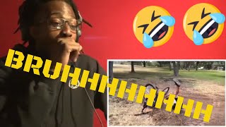 Funniest Videos Of The Week | Reaction  ( MUST SEE!!!)  #FunnyFails #TryNotToLaugh #ReactionVideo
