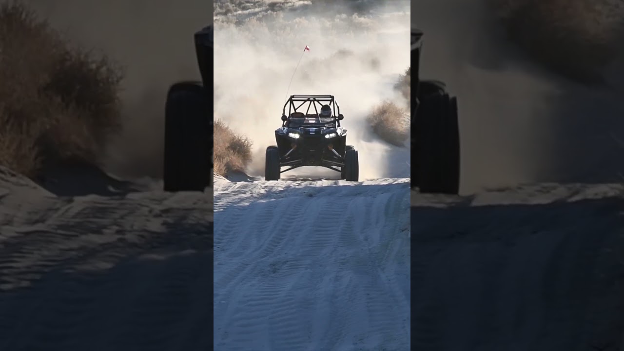 No Springs on This RZR!