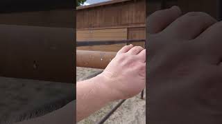 you can lead a horse to grain, but you can't make them eat