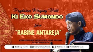 Wayangan Siang - Ki Eko Suwondo